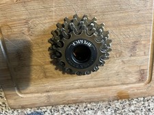 Regina Extra America 6 speed 13-21 lightly used retro road bike screw on block
