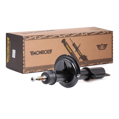 Front shock absorbers - front,