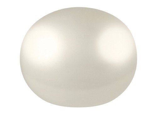 Pair cultured button half - button,