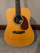 Breedlove Atlas Retro Electro