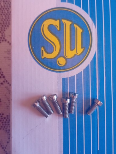 Carburettor screws hs2 - carburettor,