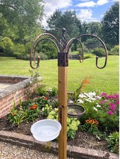 Bird garden feeding - garden, station
