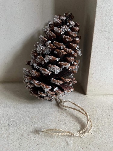 Giant crystalised pine cone - giant,