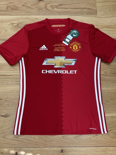 Zlatan ibrahimovic manchester - ibrahimovic,