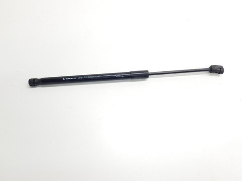 654706041r tailgate shock - 654706041r,