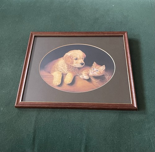 Labrador puppy and kitten - puppy,