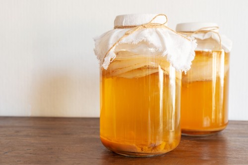 Organic kombucha starter pack - organic,