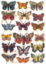 VICTORIAN STYLE DIE CUT PAPER