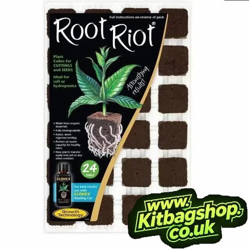 Tray root riot propagation - tray,