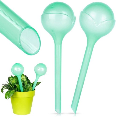 Plant watering globes - plant,