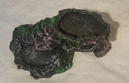 Turtle basking platform - turtle,