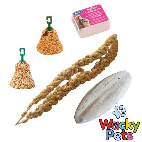 Budgie canary bird treats - treats,
