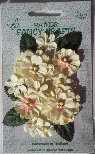 Mulberry paper pastel - paper,