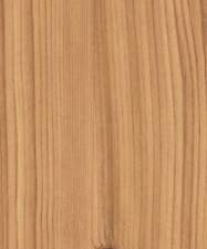 Wood Effect Spruce Fablon