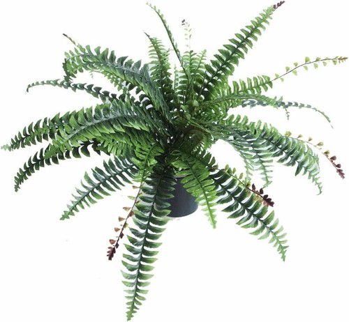 Leaf large artificial - large, fern