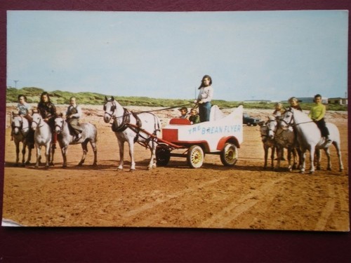 Postcard somerset brean - somerset,