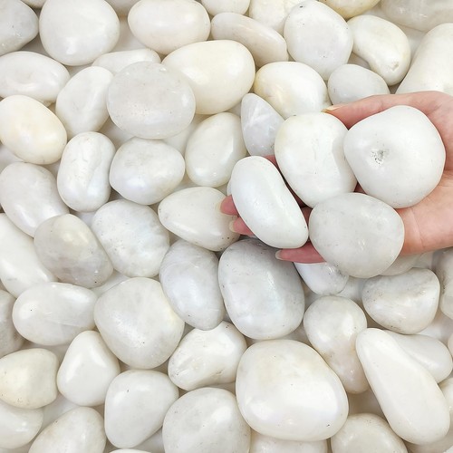 Fantian lbs large white - lbs,