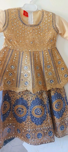 Asian pakistani 2pcs lahnga - pakistani,
