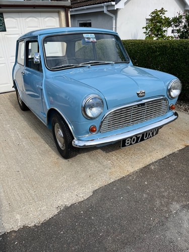 Austin mini classic cars - mini,