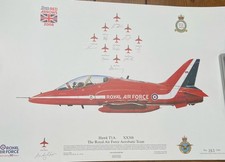 RED ARROWS 2008 SIGNED & FLOWN