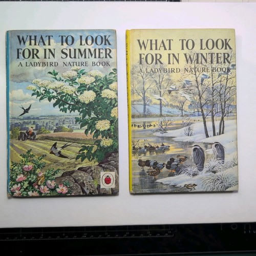 What look for winter - look,