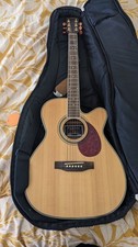 Freshman electric acoustic - freshman,