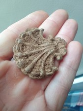 Rare metal detecting find Post Medieval 15th century lead pilgrims badge scallop