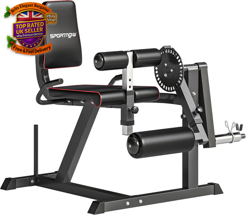 Seated leg extension and curl - extension,