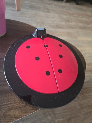 Round ladybird beetle - round,