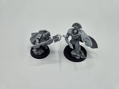 Asterion moloc and ivanus - moloc,