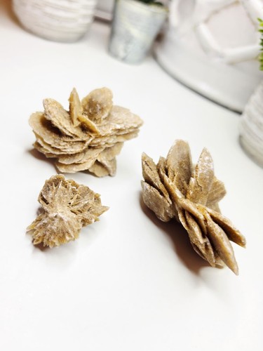 Raw moroccan desert - raw, rose