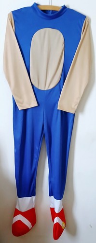 Sonic the hedgehog costume - hedgehog,