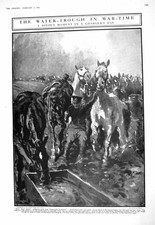 Old 1916 Horses War Water-Trough France Yeomanry Patrol Bedouin Camp 20th