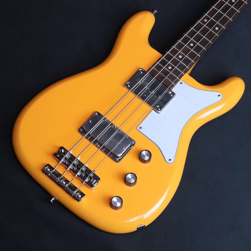 Epiphone newport bass 1960s - newport,