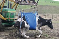 Shoof Standard Daisy Cow Lifter | Farm Animals