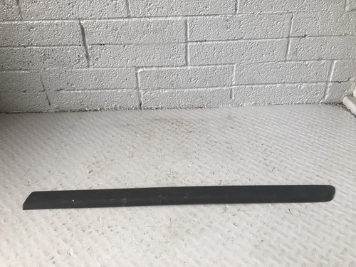 Discovery door rubbing strip - door,