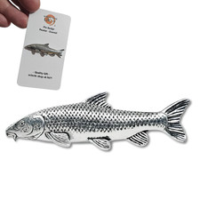 Barbel Pin Badge Pewter Carp