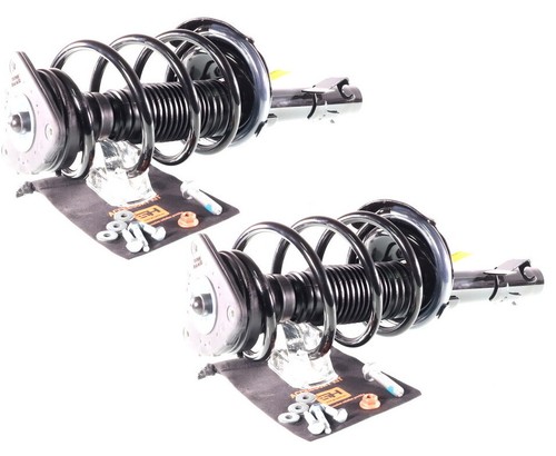 Gas complete struts - complete,