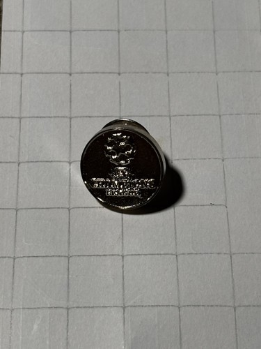 Uefa champions league pin - champions,