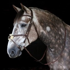 John Whitaker Vienna Mexican