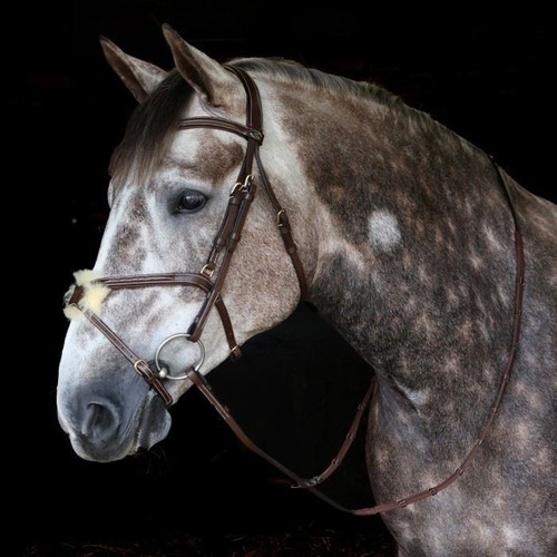 John whitaker vienna mexican - john,