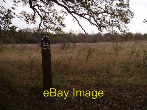 Photo 6x4 new nature - 6x4, reserve