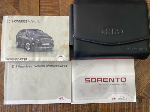 2019 kia sorento water - 2019,