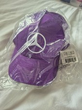 Mercedes AMG F1  Lewis