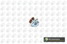 Engine Oil Sump Drain Plug