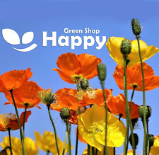 ENGLISH POPPY SHIRLEY MIX - 23