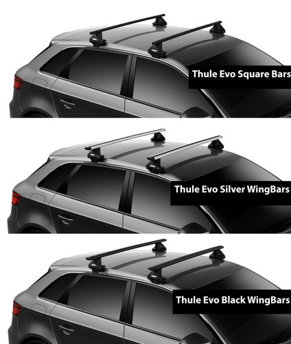 Thule roof rack bars - roof,