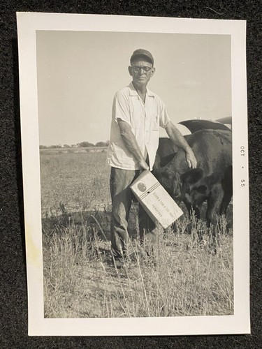 Farmer feeding cow - feeding,