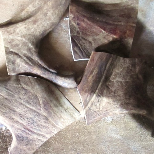 Kilo fallow deer dog - dog, chews