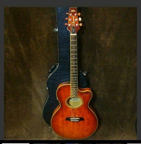 Electronic acoustic guitar - ​electronic,